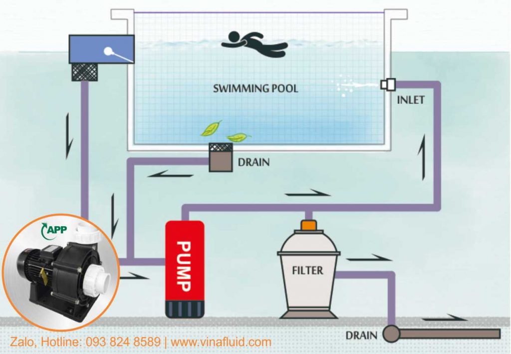 Tuần hoàn nước hồ bơi và bể bơi